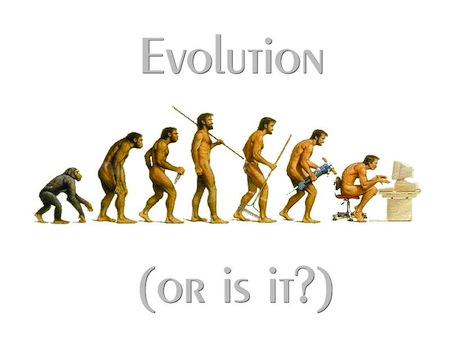 The Evolution Of Sitting